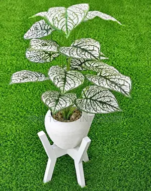 Realistic Artificial Plants for Modern Homes