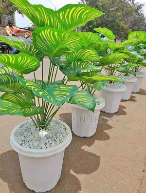 Artificial Green Plants for Living Room