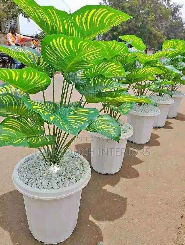Artificial Green Plants for Living Room