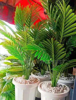 Zero Maintenance Artificial Plants
