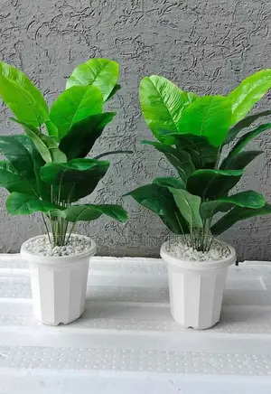 Artificial Plants for Home Office