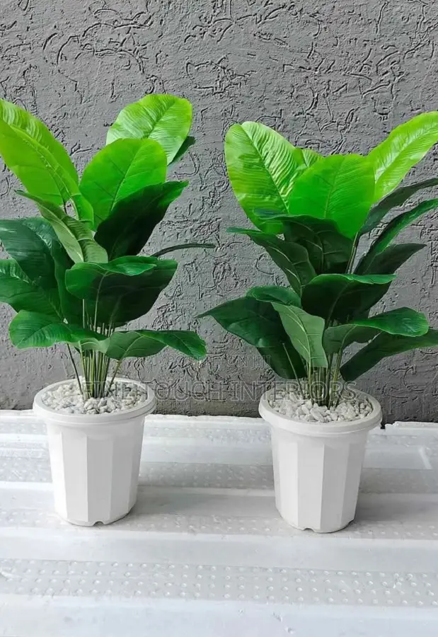 Artificial Plants for Home Office