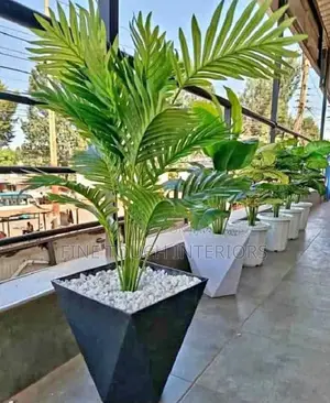 Affordable Artificial Plants- Tsavo Road, Odeon