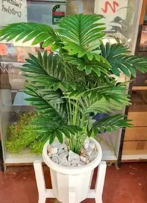 Artificial Plants for Interior Decoration