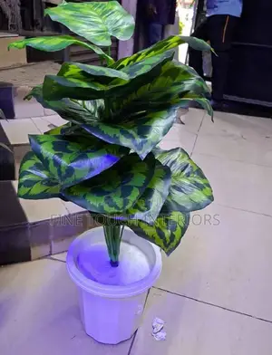 Artificial Plants for Apartments