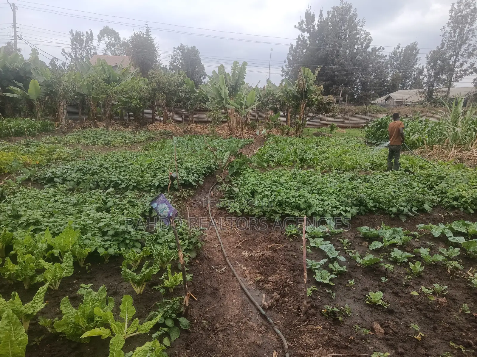 100 by 100 Plot for Sale in Githurai Kiuu Booster