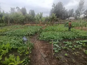 100 by 100 Plot for Sale in Githurai Kiuu Booster