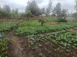 100 by 100 Plot for Sale in Githurai Kiuu Booster