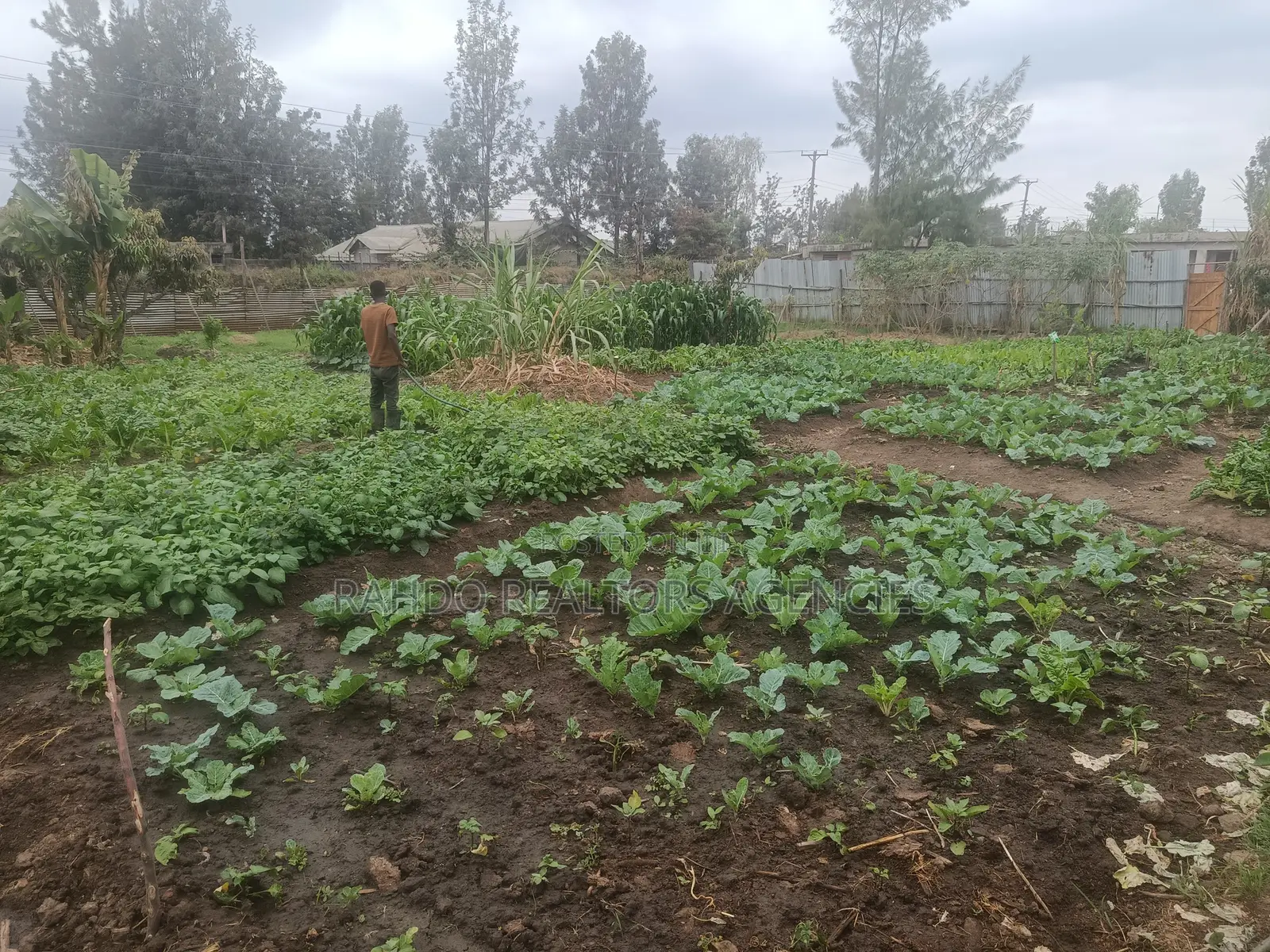 100 by 100 Plot for Sale in Githurai Kiuu Booster