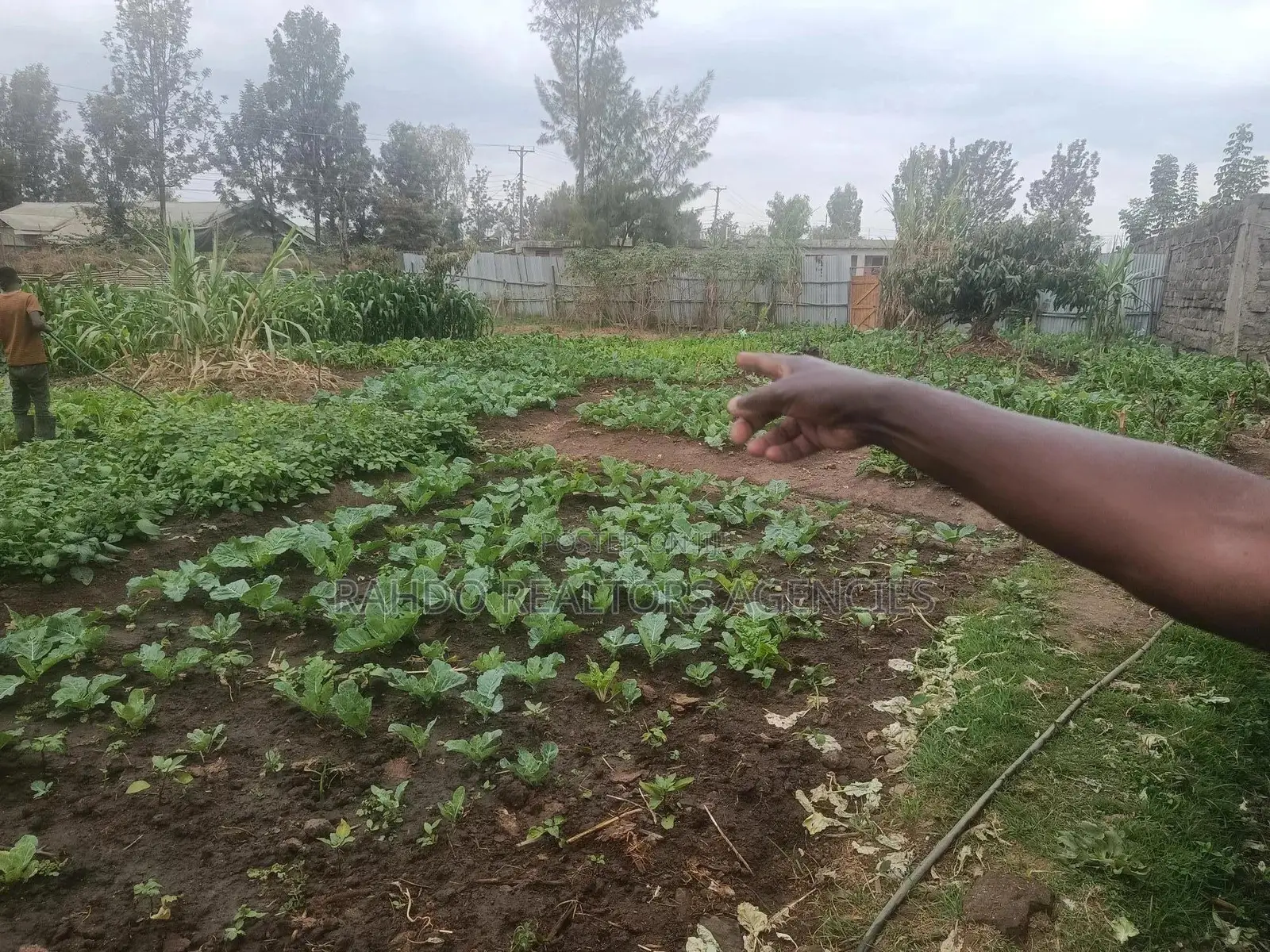 100 by 100 Plot for Sale in Githurai Kiuu Booster