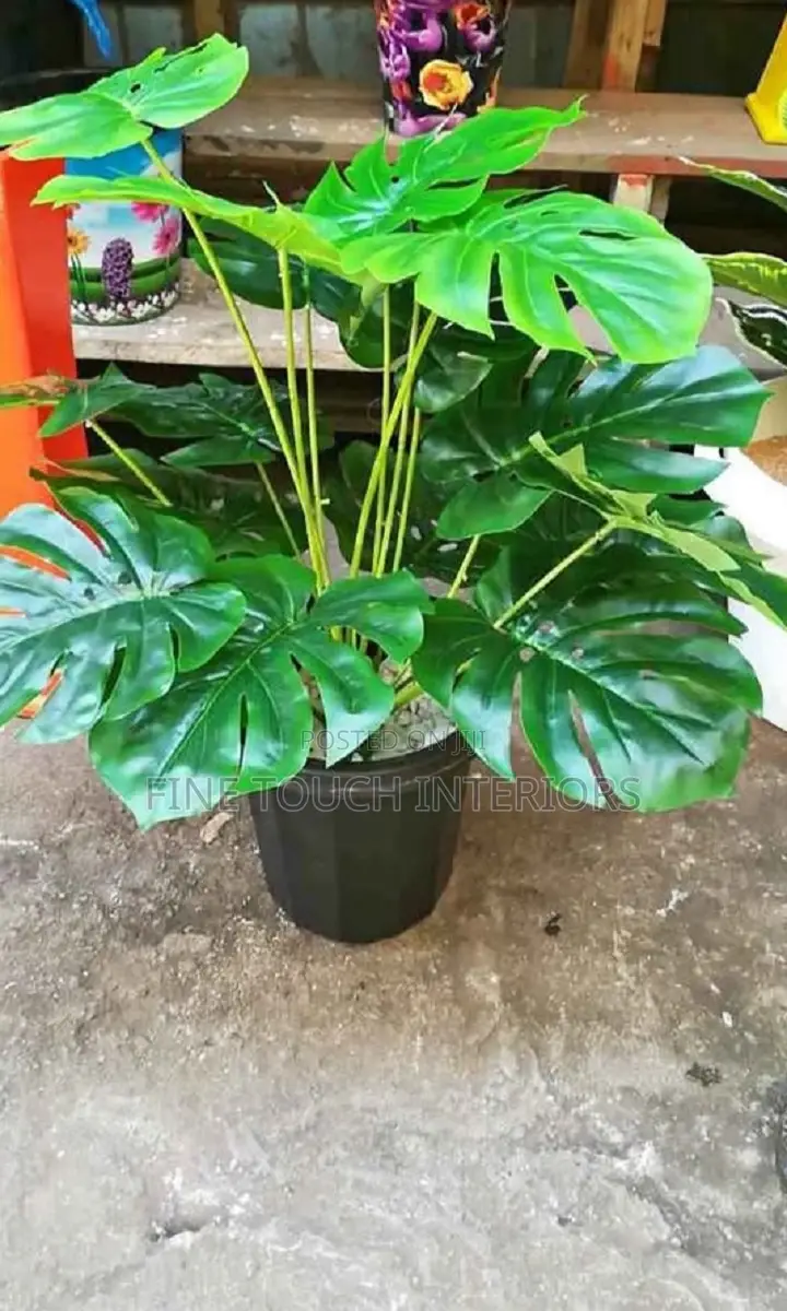 Modern Artificial Plants