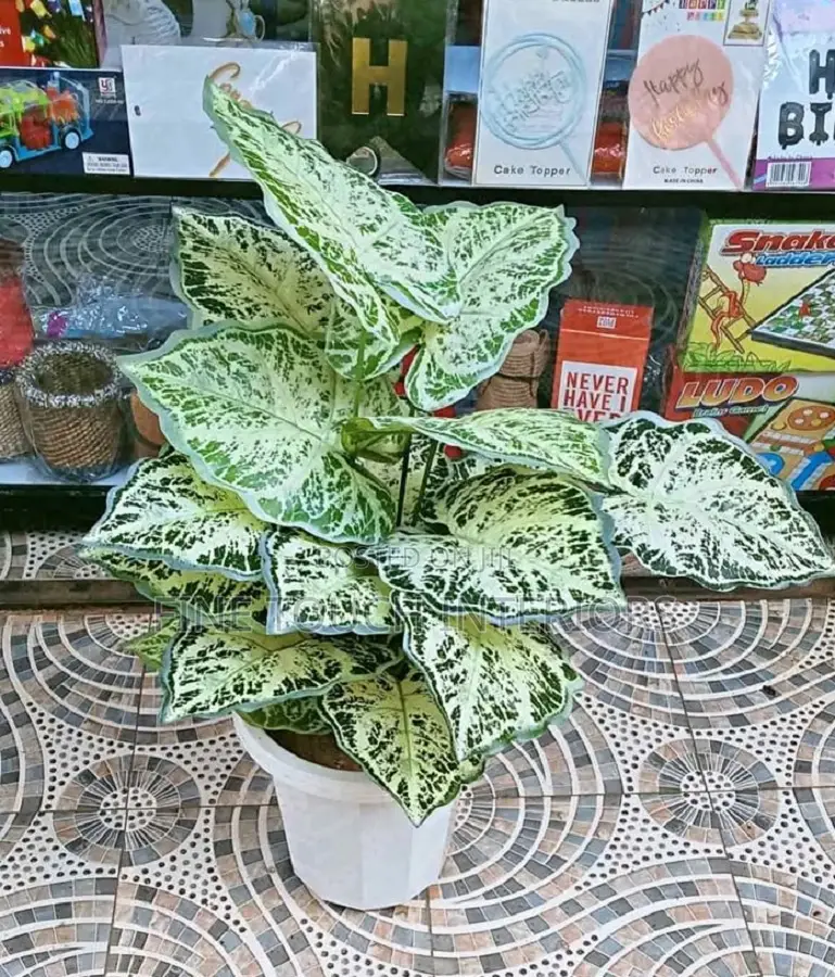 Artificial Plants for Office Décor
