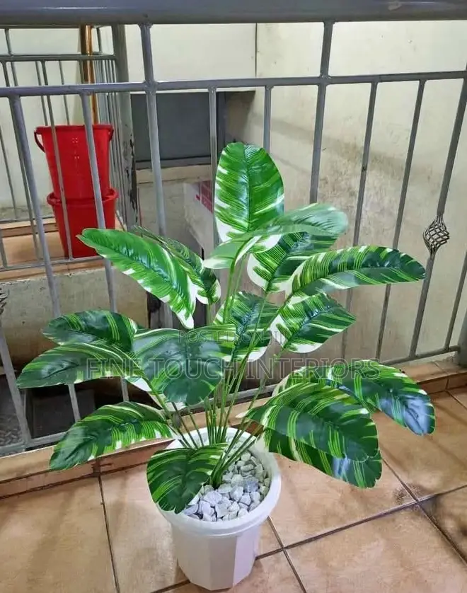 Artificial Plants for Homes, Offices Shops