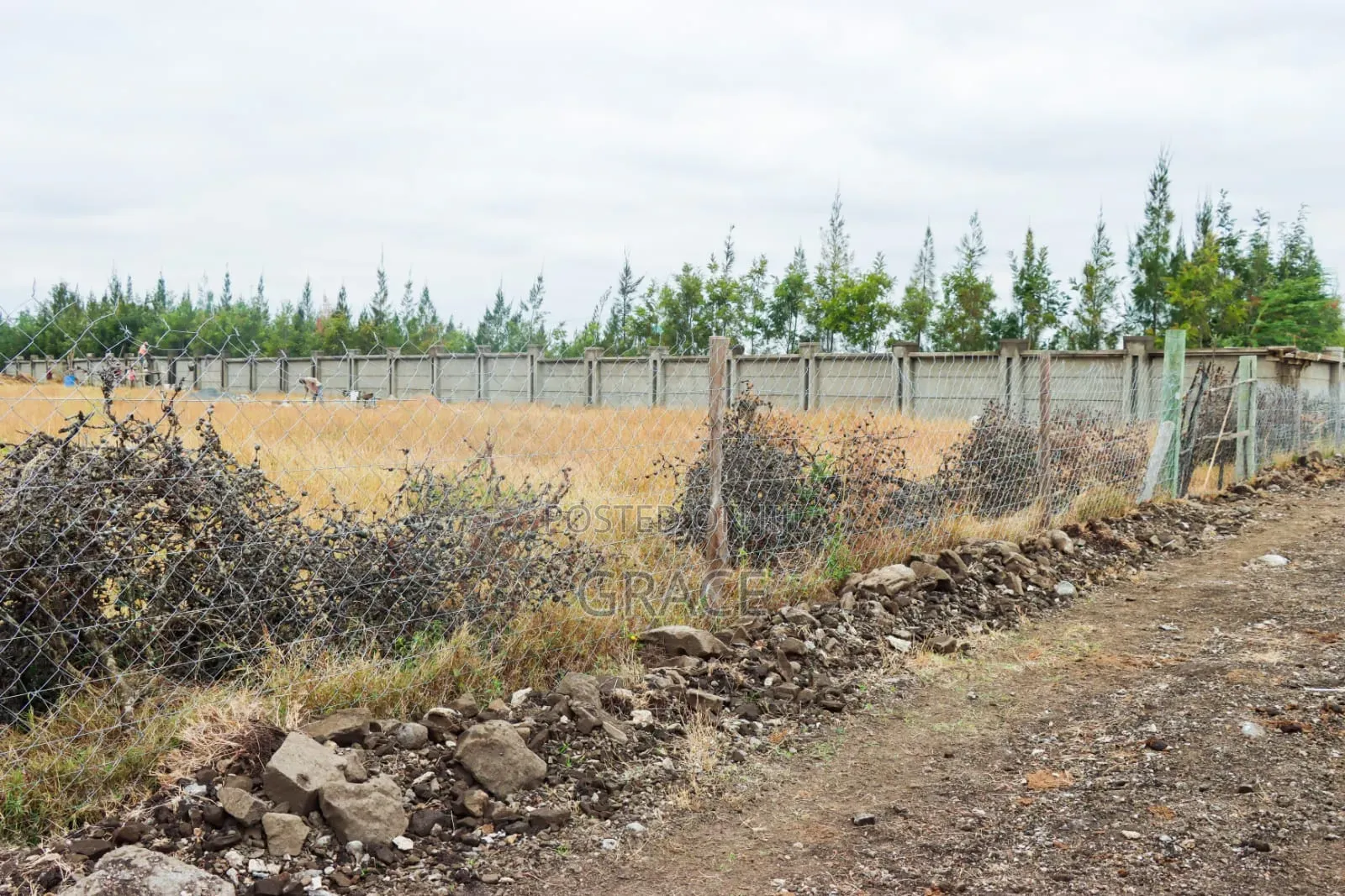 Mbuni Farm Plots for Sale 50 by 100