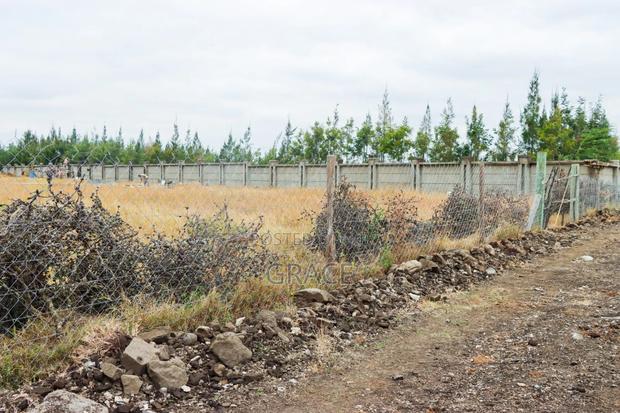 Mbuni Farm Plots for Sale 50 by 100