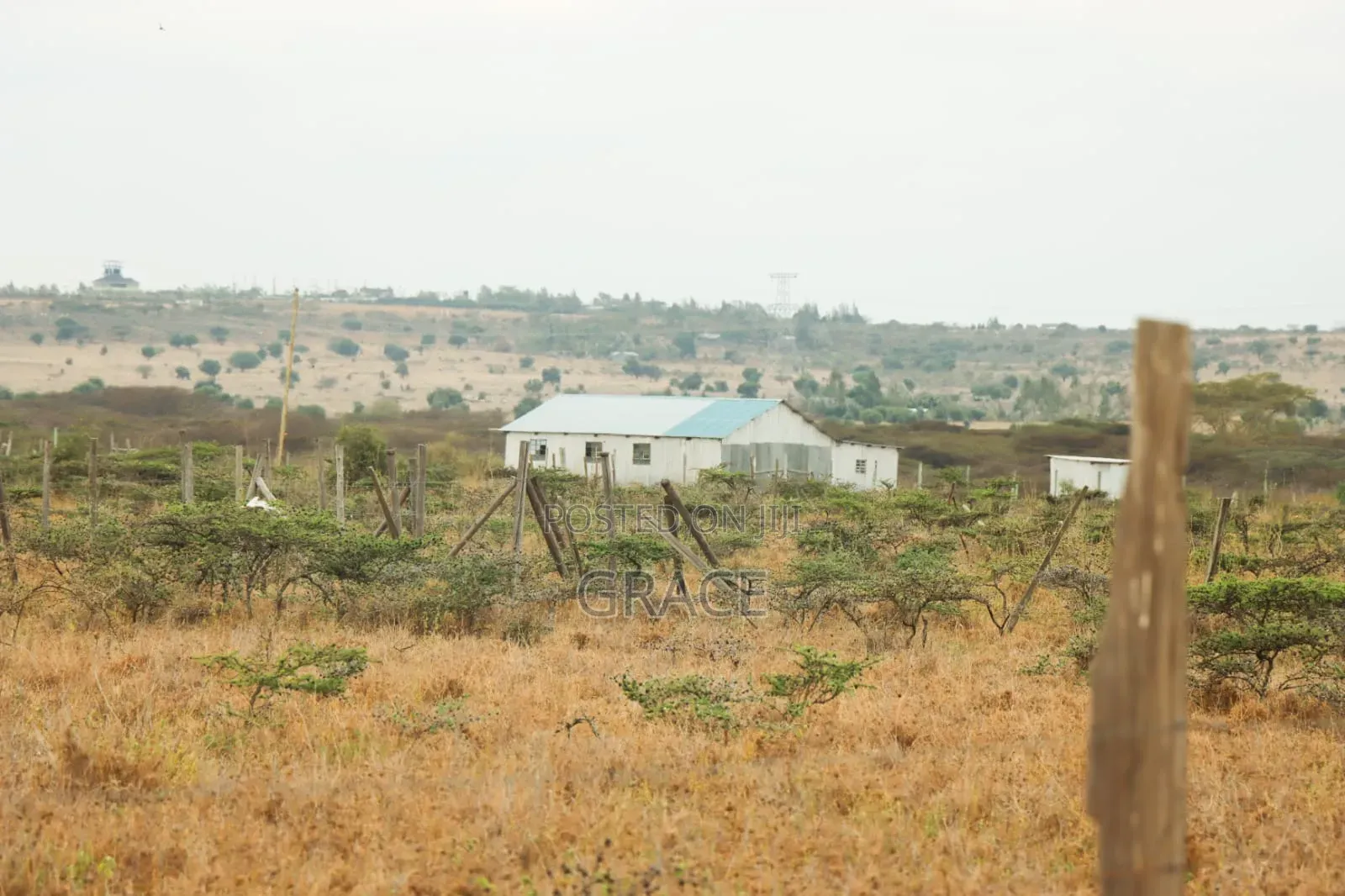 Mbuni Farm Plots for Sale 50 by 100