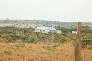 Mbuni Farm Plots for Sale 50 by 100