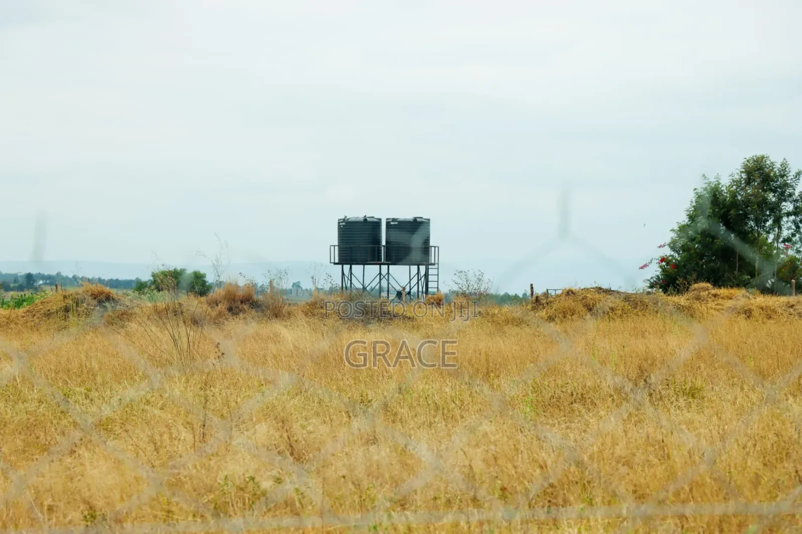 Mbuni Farm Plots for Sale 50 by 100