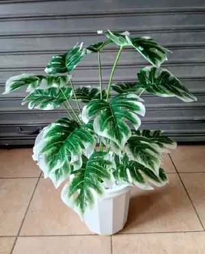 Long Lasting Artificial Green Plants