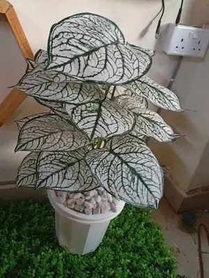 Decorative Artificial Plants