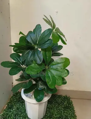 Artificial Foliage for Beautiful Home Décor