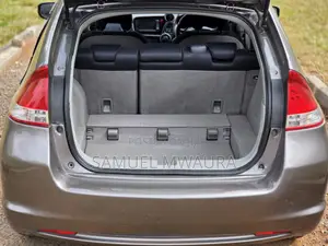 Honda Insight 2010 Brown