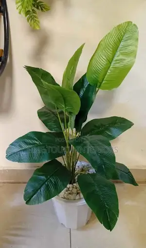 Artificial Plants for Outdoor Use