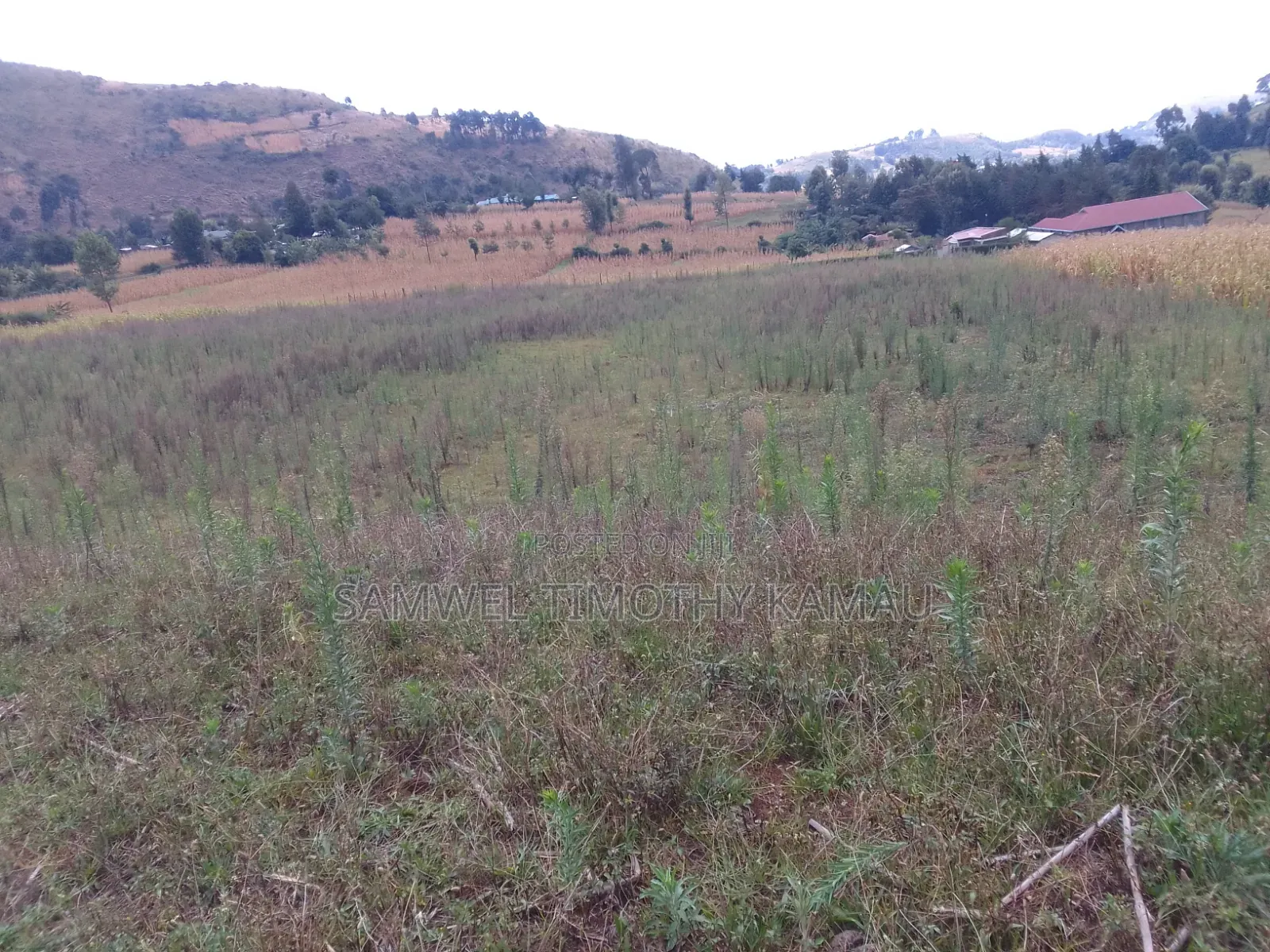 Plot for Sell 50×100