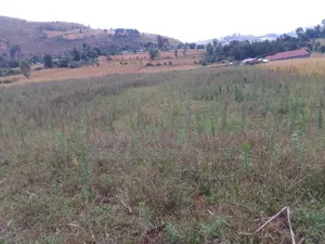 Plot for Sell 50×100