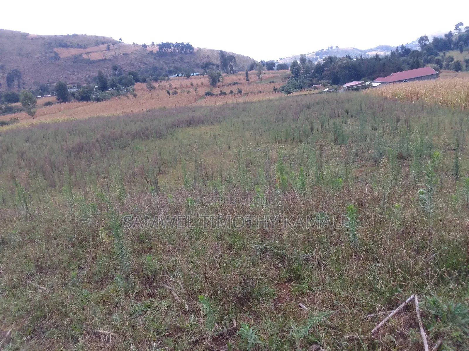 Plot for Sell 50×100