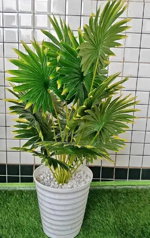 Artificial Plants for Reception Hallway Decor