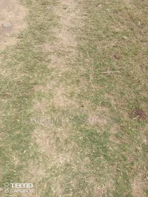 Beach PLOT DIANI 1/2 Acre Kwale