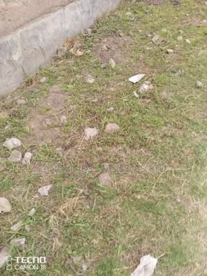 Beach PLOT DIANI 1/2 Acre Kwale