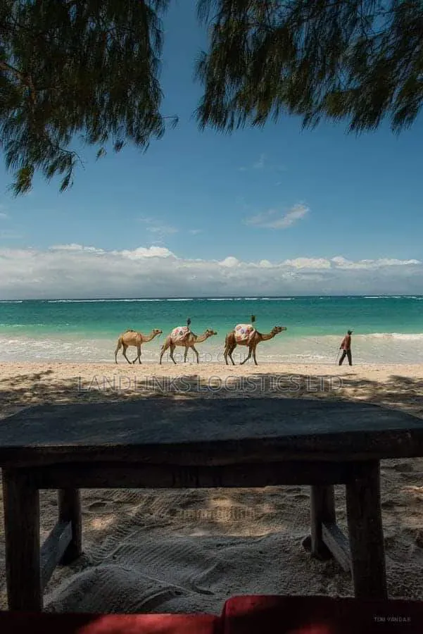 3 Star Hotel Along Diani Beach South of Mombasa