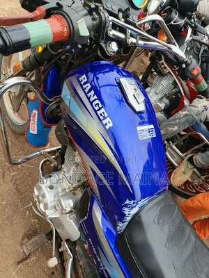 Ranger 2024 Blue