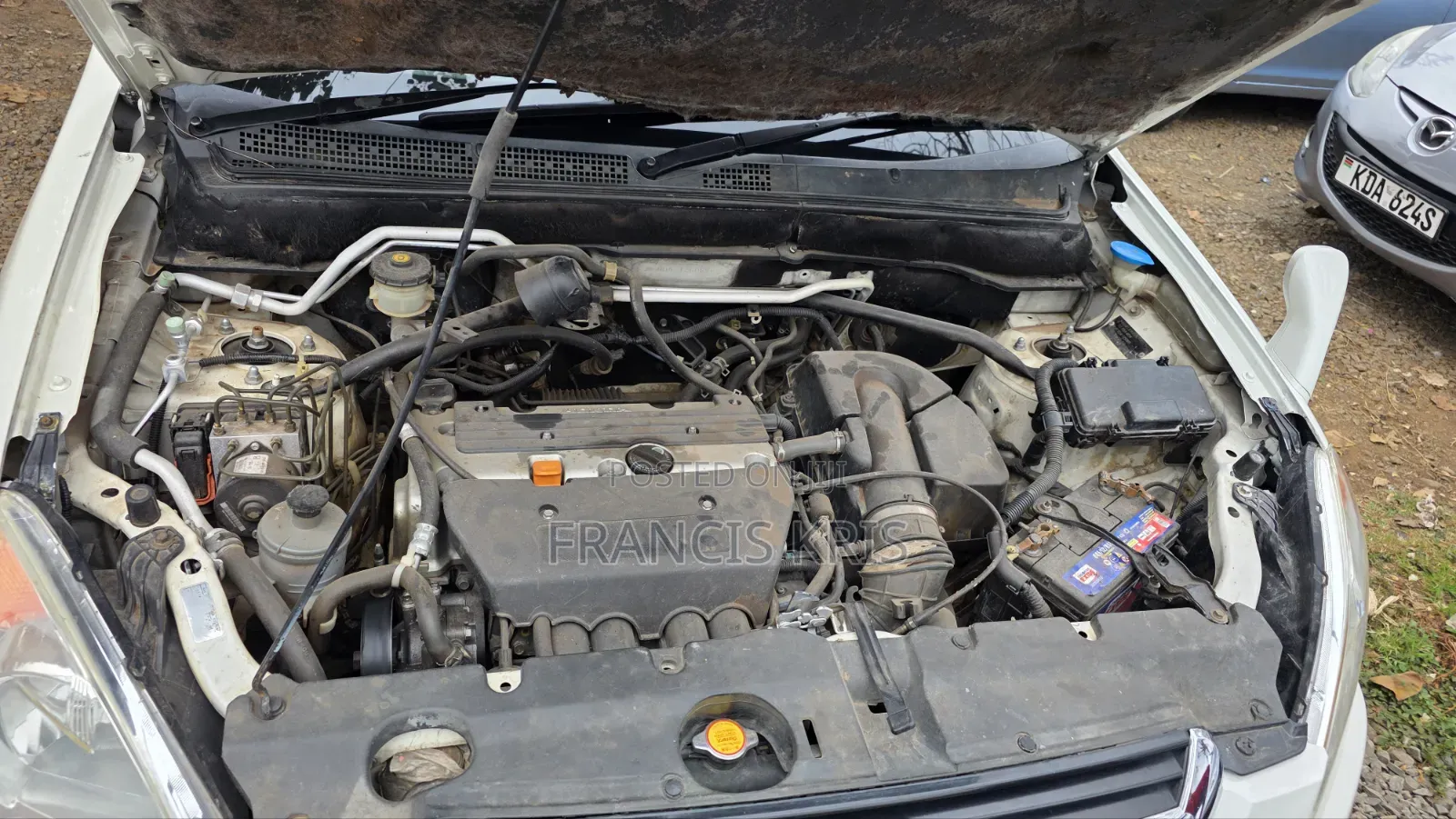 Honda CR-V 2006 White