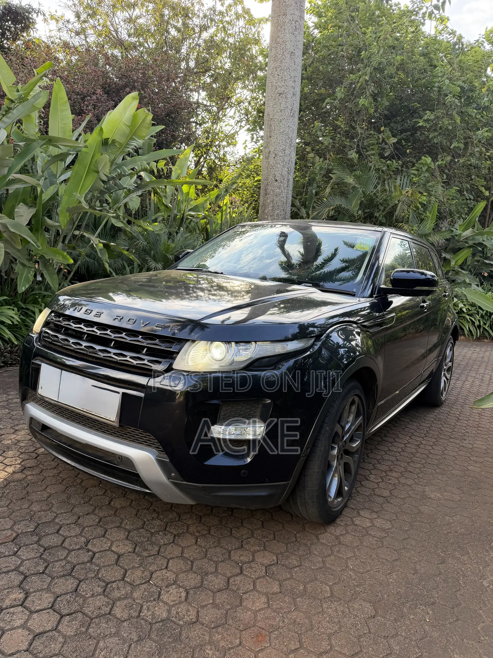 Land Rover Range Rover Evoque Dynamic 4dr SUV AWD (2.0L 4cyl Turbo 9A)