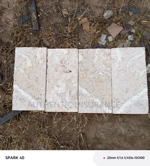 Coral Stone Cladding