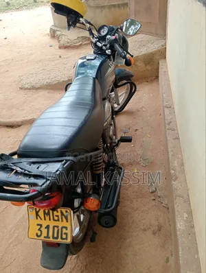TVS HLX 125 2022 Gold