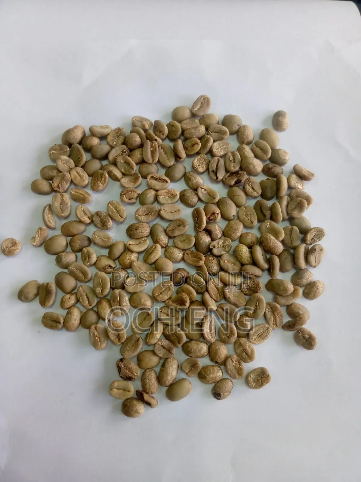 Coffee Business for Both Local and International Market