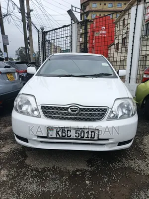 Toyota Corolla Fielder 2005 White