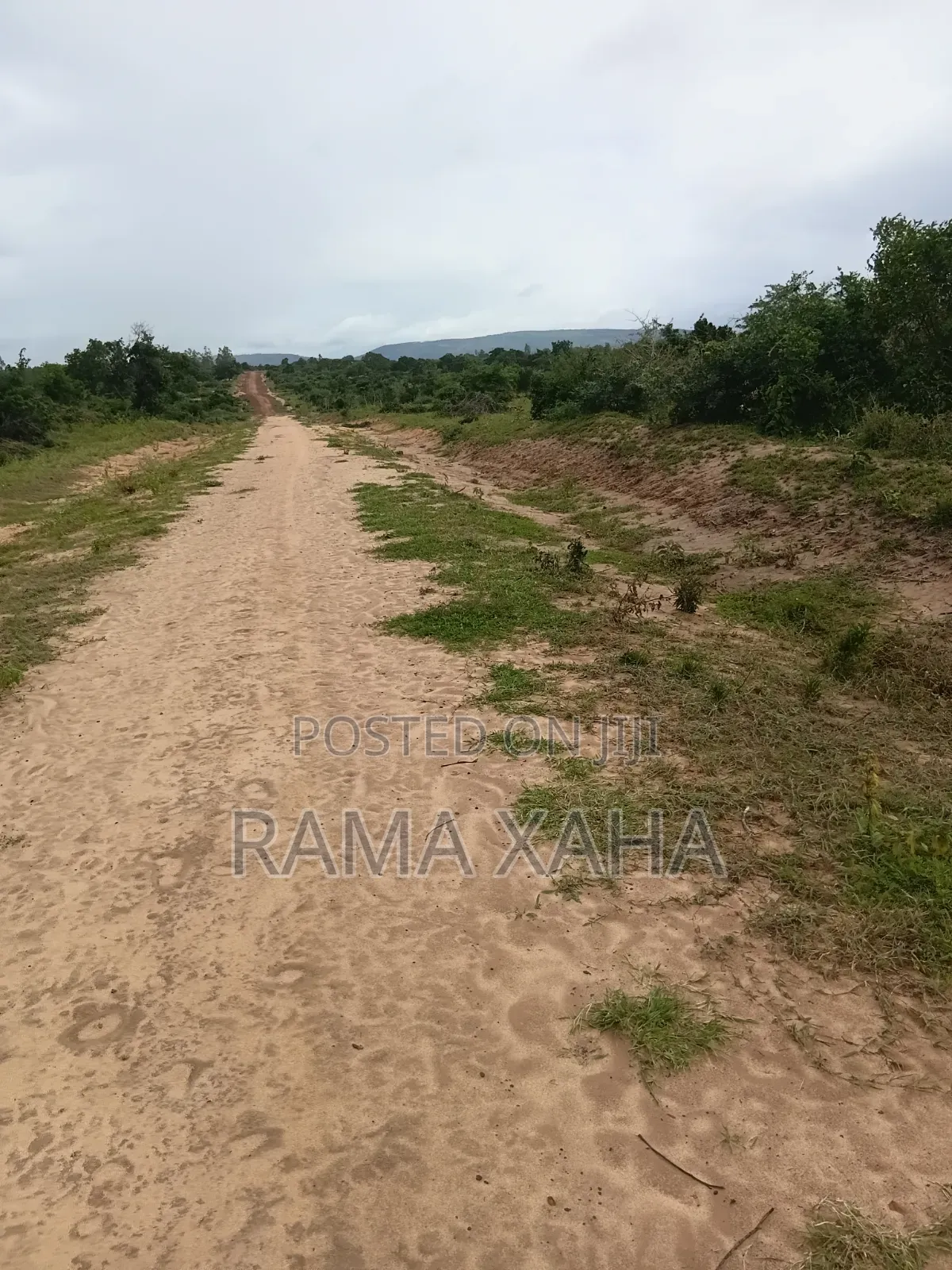 8 Acres Sosobora With Ready Title Dead