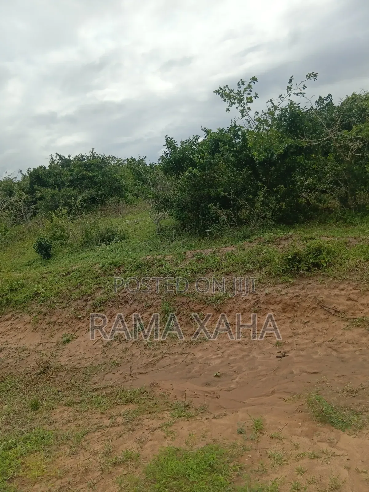 8 Acres Sosobora With Ready Title Dead