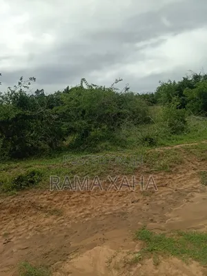 8 Acres Sosobora With Ready Title Dead