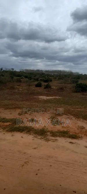 4 Acres With Ready Title Deed for Sale at Sosobora