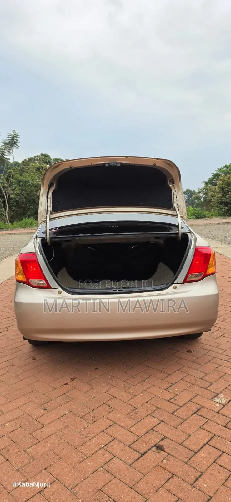 Toyota Axio 2007 Gold