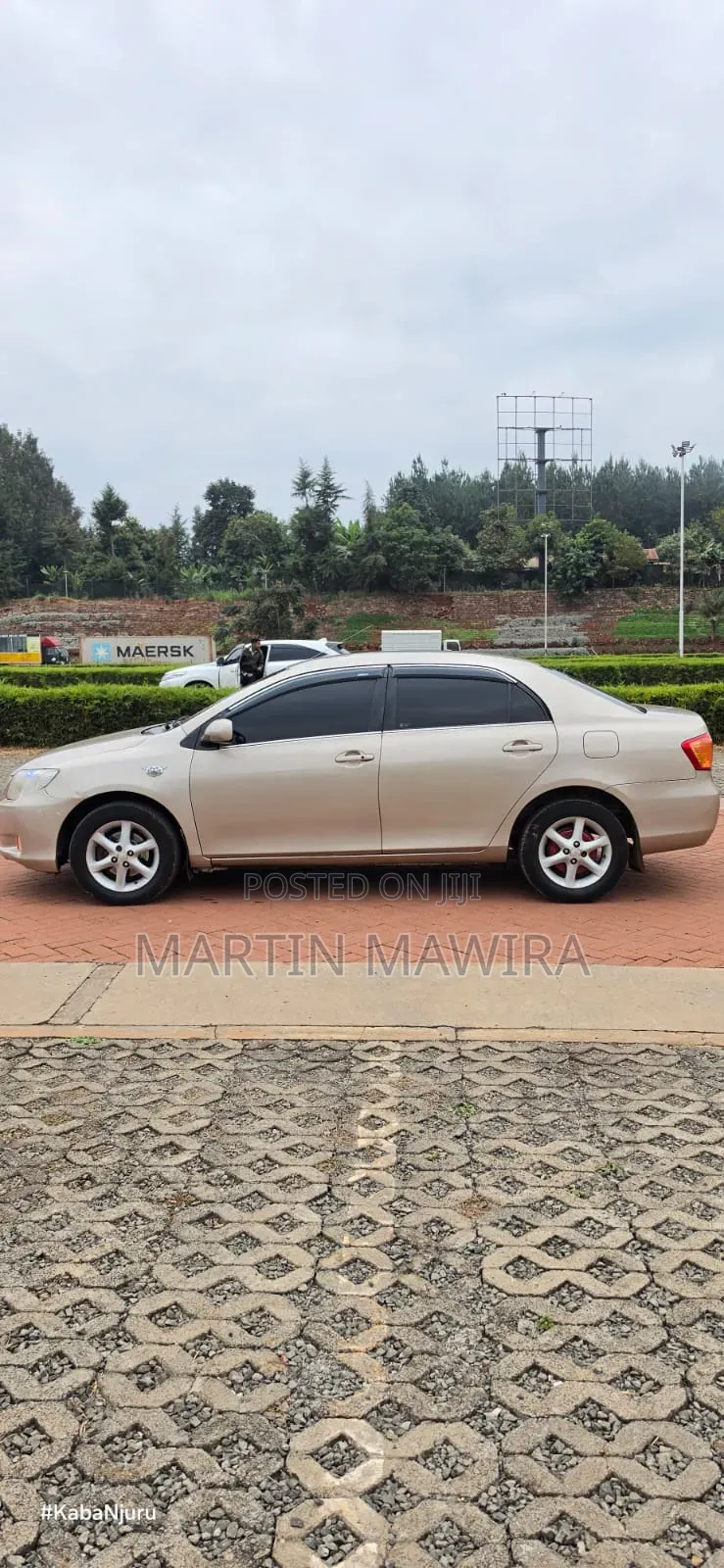 Toyota Axio 2007 Gold