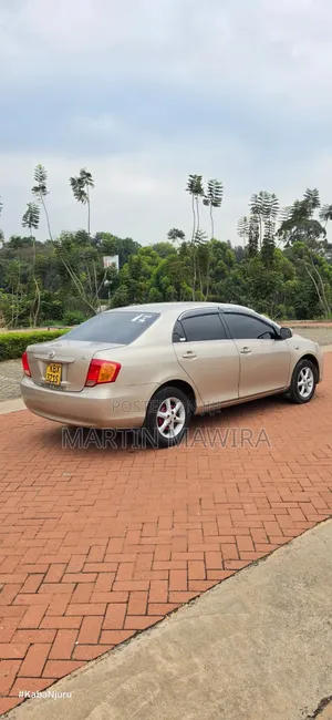 Toyota Axio 2007 Gold