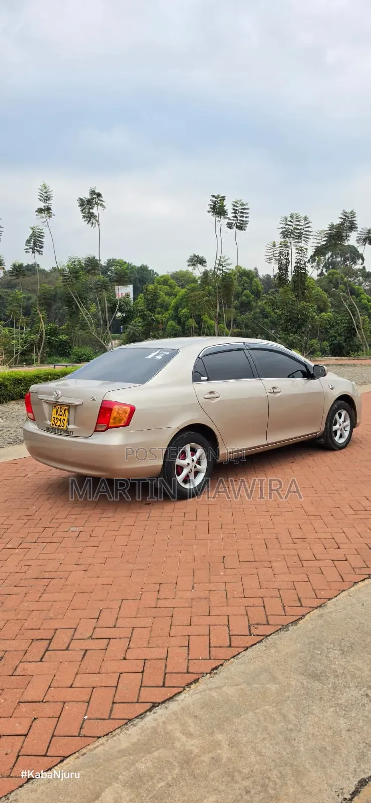 Toyota Axio 2007 Gold