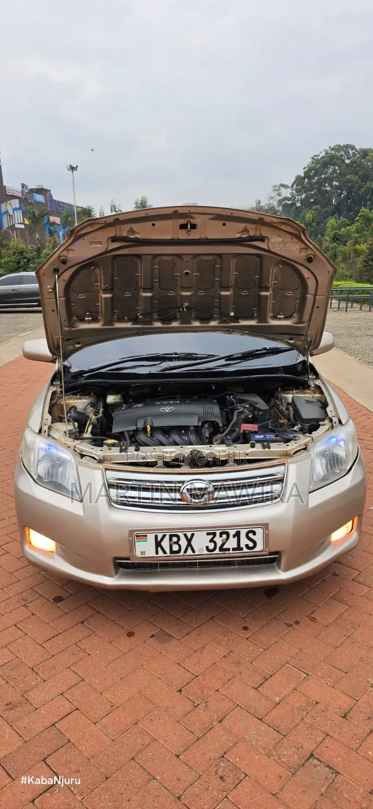 Toyota Axio 2007 Gold